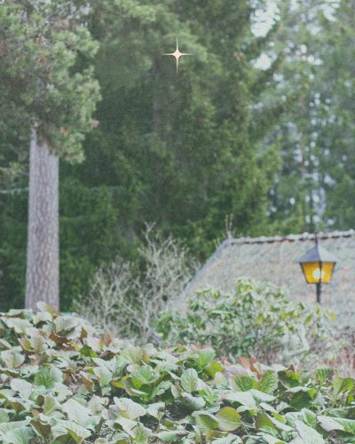 Noord Darkness Retreat Sweden cabin exterior