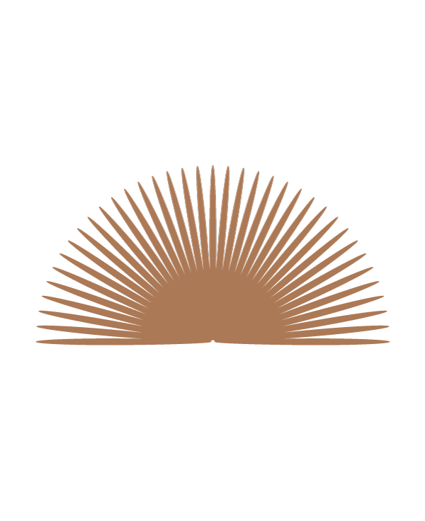 sun-rays-icon