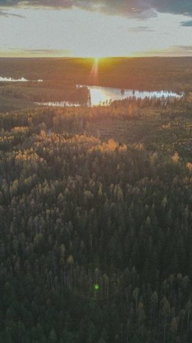 Warm sunset light over a misty meadow and dark forest edge.